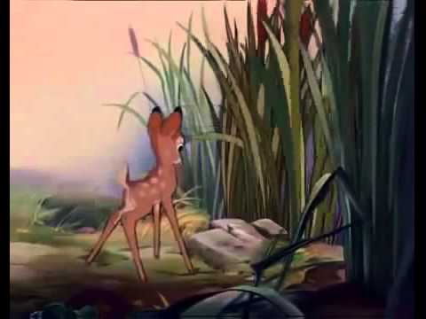 Bambi meets faline