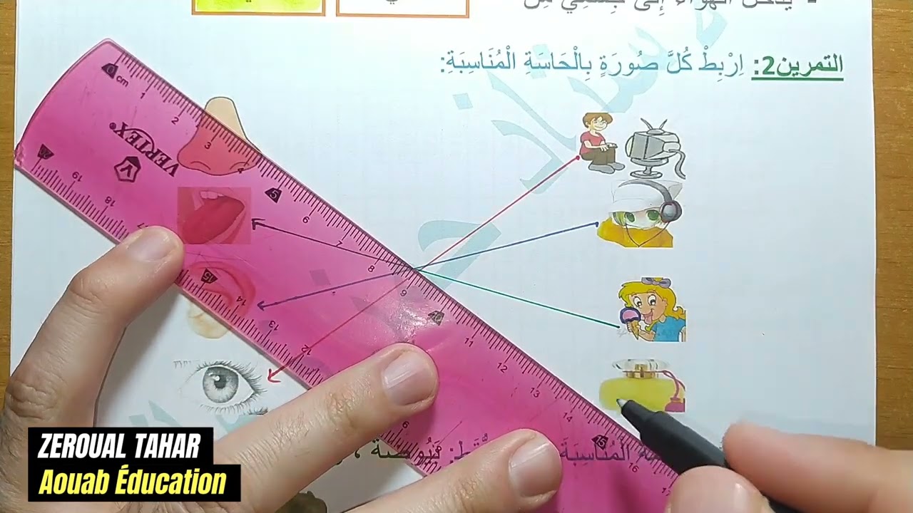 حل نموذجي لامتحان الفصل الثاني في التربية العلمية 2023-2024  (نموذج02 )≡ الأولى ابتدائي