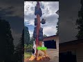 Огромная скульптура из погибшего дерева 😲