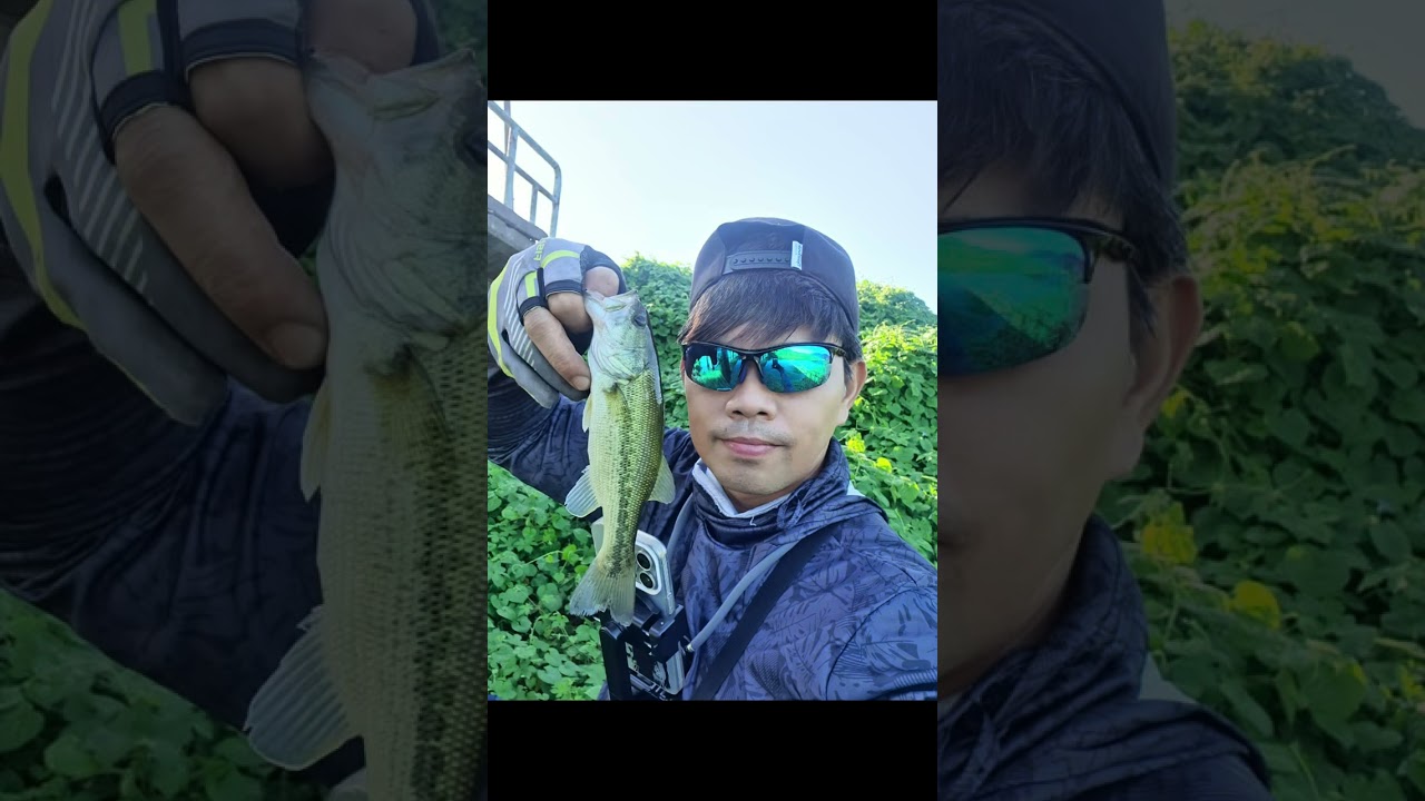 Bass fishing near the bannseong train station