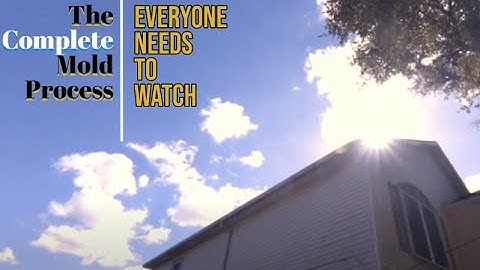 Breaking the Mold: A Behind-the-Scenes Look at Professional Mold Remediation Process