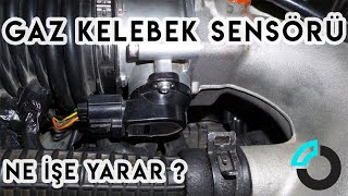 Gaz Kelebek Sensörü Nedir, Ayarı Nasıl Yapılır? - Yedek Parça 101 by Otolye com 34,019 views 3 years ago 3 minutes