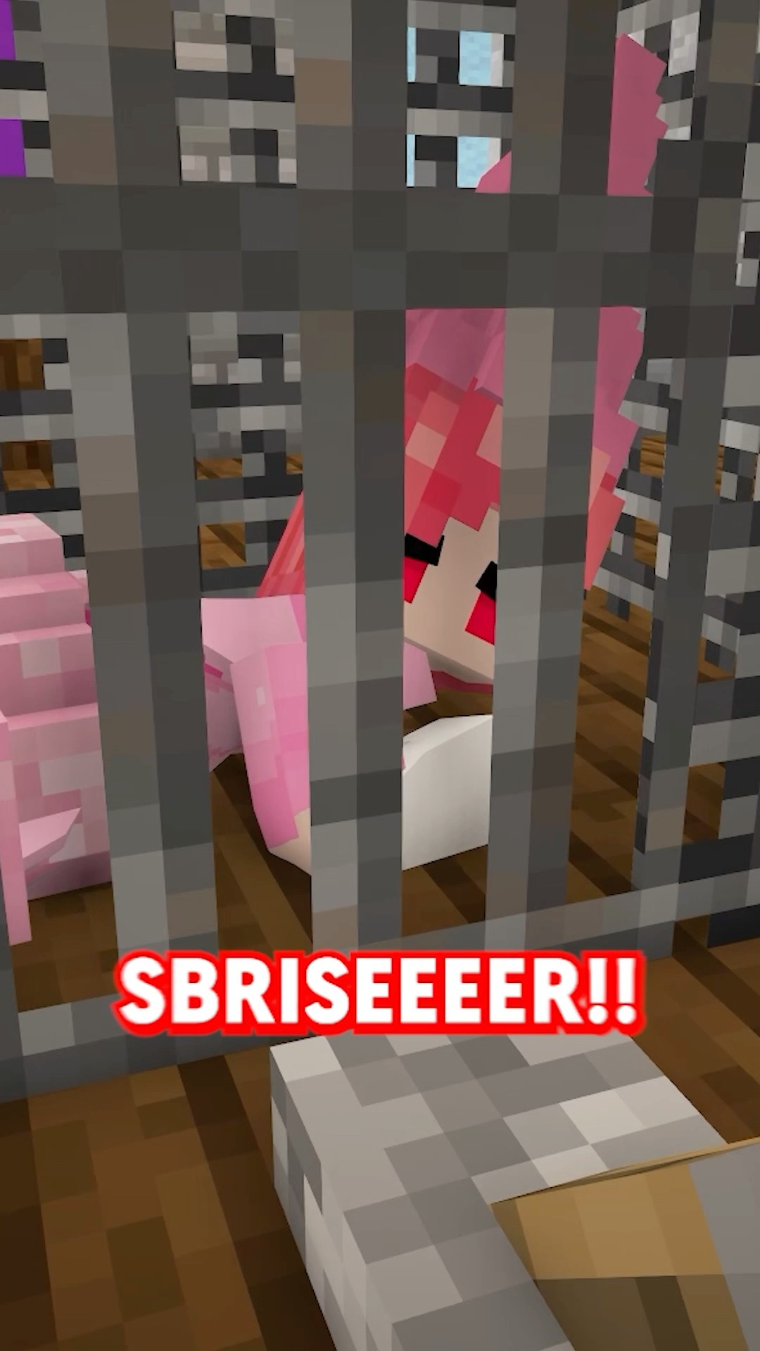SBRISER SALVA ZOE MA… ?