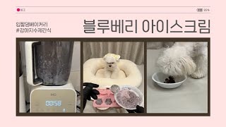 [RECIPE] 재료 두개로 간단히 강아지 아이스크림 만들기