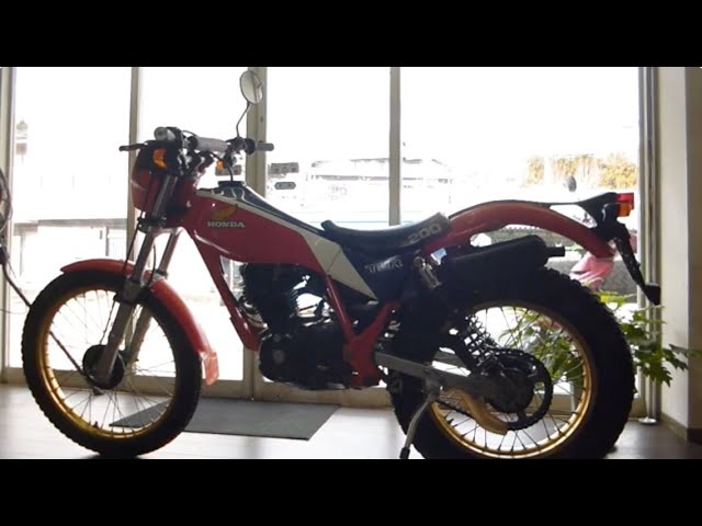 ホンダ TLR200 md09 ホンダMD09「TLR200」 | バイク引き取り日記