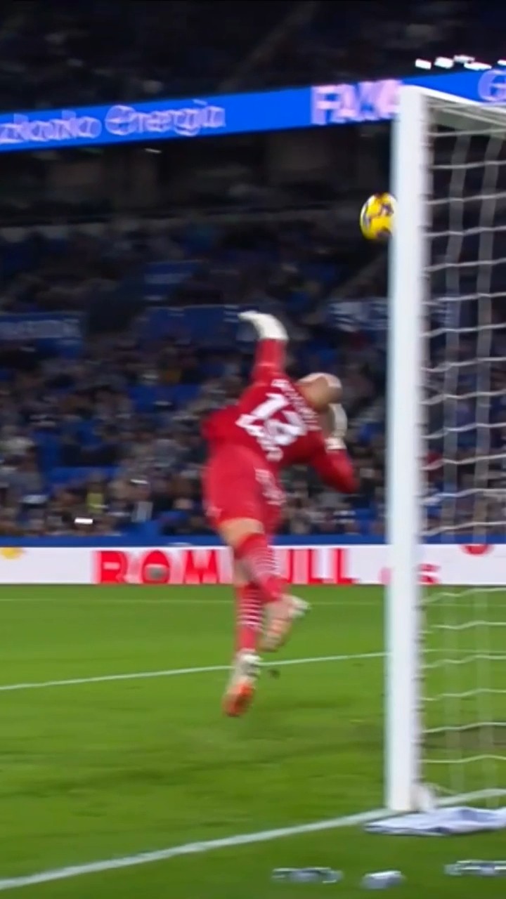 DMITROVIC takes flight ✈️?