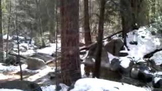 VID 00035-20100131-1410