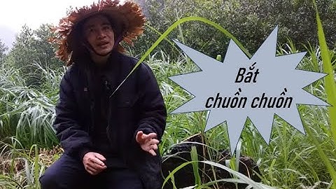 Trở về tuổi thơ đi bắt chuồn chuồn