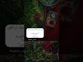 صبح بخیر از خلیج فارس جنوب میناب بندرعباس رژیمی سوغاتی احساس زندگی دوست عشق