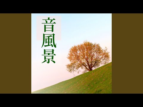 Obejrzyj 小さな花 w YouTube