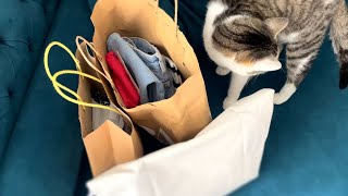 картинка: Шопинг не для нас❌Уход. Покупки. Гороховый суп. Один день из жизни VLOG #juliaslifenotes