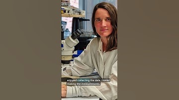 Celebrating World Brain Day with Anne Churchland