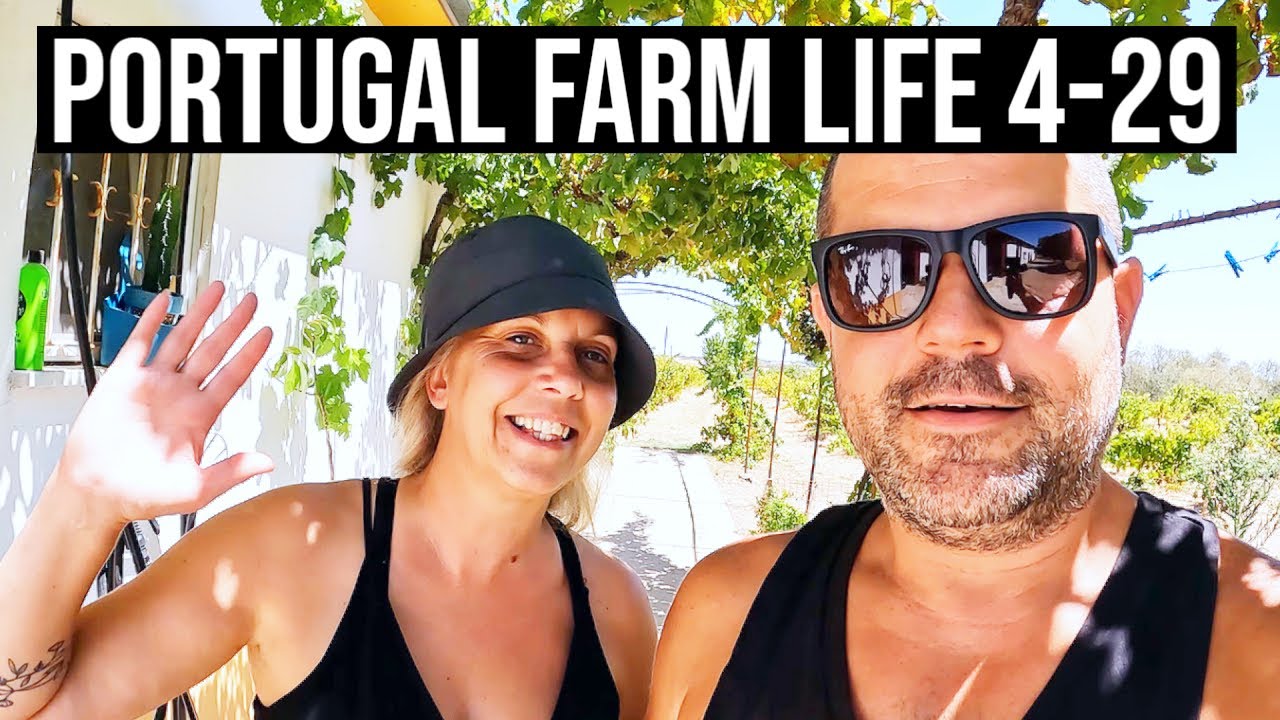 Record breaking HEATWAVES & extreme DROUGHT! |🍇🚜☀️| PORTUGAL FARM LIFE S4-E29