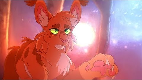 Je Te Pardonne [Warriors MAP part 8] Sagutoyas