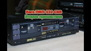 Вега ПМП-132-СКВ - обзор и профилактика деки