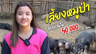 เลี้ยงหมูป่าเล่นๆ รายได้ครึ่งแสน/เดือน #หมูป่า #เกษตรกรไทย #เลี้ยงหมูป่า