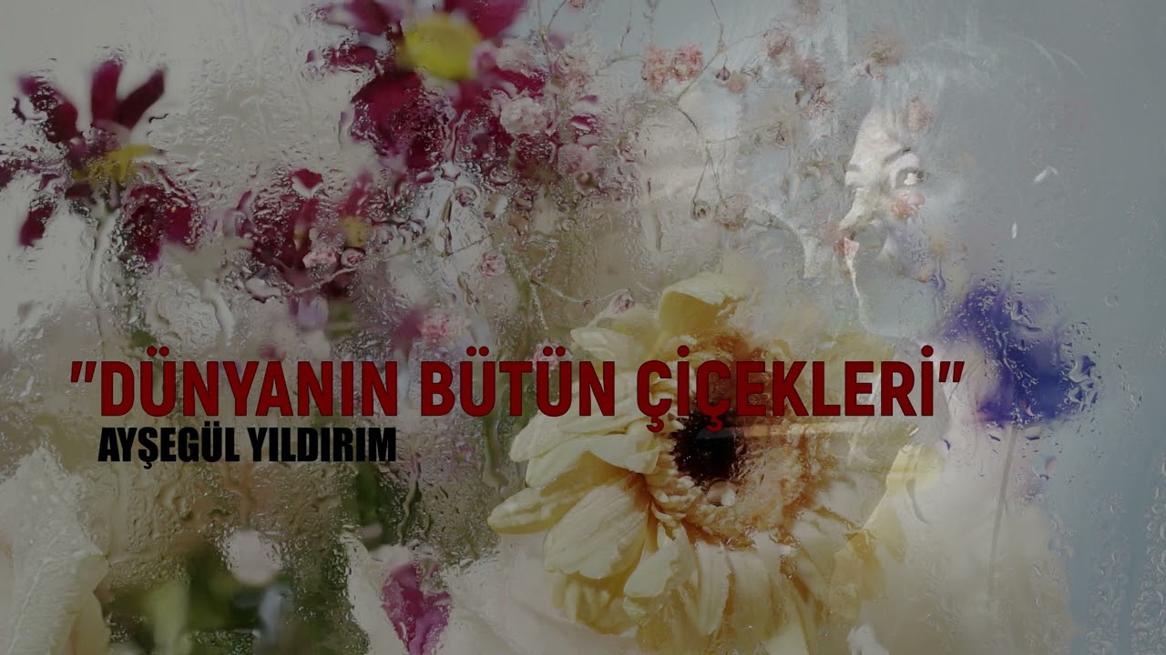 Dünyanın Bütün Çiçekleri | Ceyhun Atuf Kansu