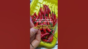 the Best way to preserve 🌶 Thai chili pepper Ever! No more waste of money! Everyone should do it!