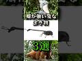 【閲覧注意】癖が強い変な生き物3選#shorts