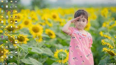 Hướng dẫn thiết kế full 1 tuyến đường bằng TDT VnRoad