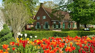 Windmill Island Gardens 🌷 Tulip Time 2024 🌷