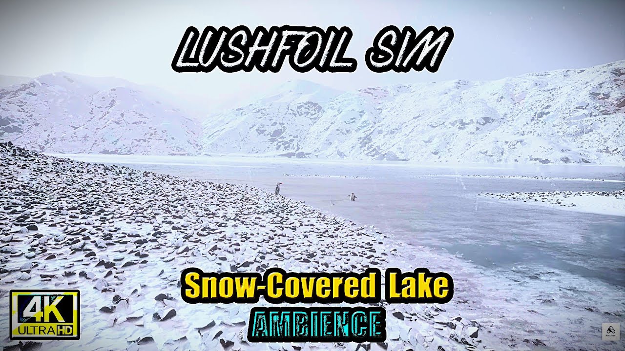 Snow-Covered Lake Walk Ambience – Lushfoil Photography Sim ❄️🏞️