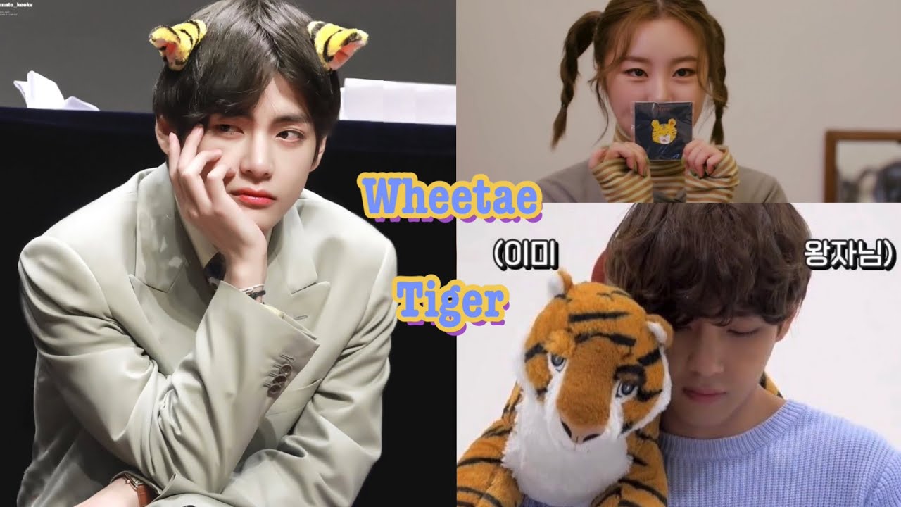 Wheetae coincidence 🐯love in secret