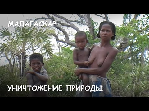 Video: Hoe Teken Je Madagaskar