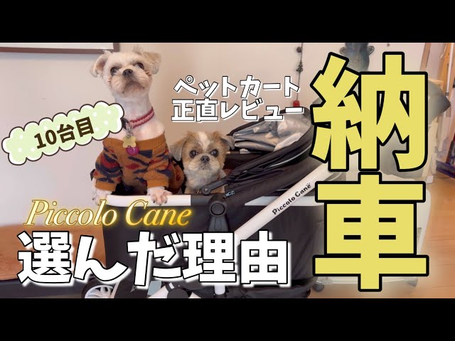 20年間多頭飼いでペットカートを使い続けた結果、ピッコロカーネタント