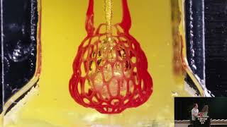 Excerpt: Computational Design, From Lamps to Lungs: Nervous System: CDFAM NYC 24