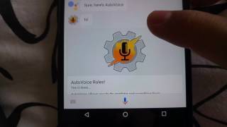 AutoVoice Card Response