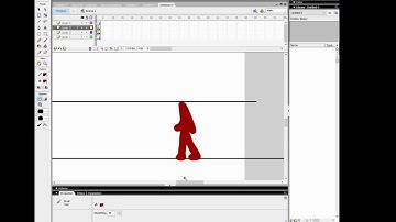 Time Lapse: Creating an Animation in Macromedia Flash 8