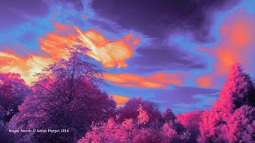 Infrared False Colour Time Lapse