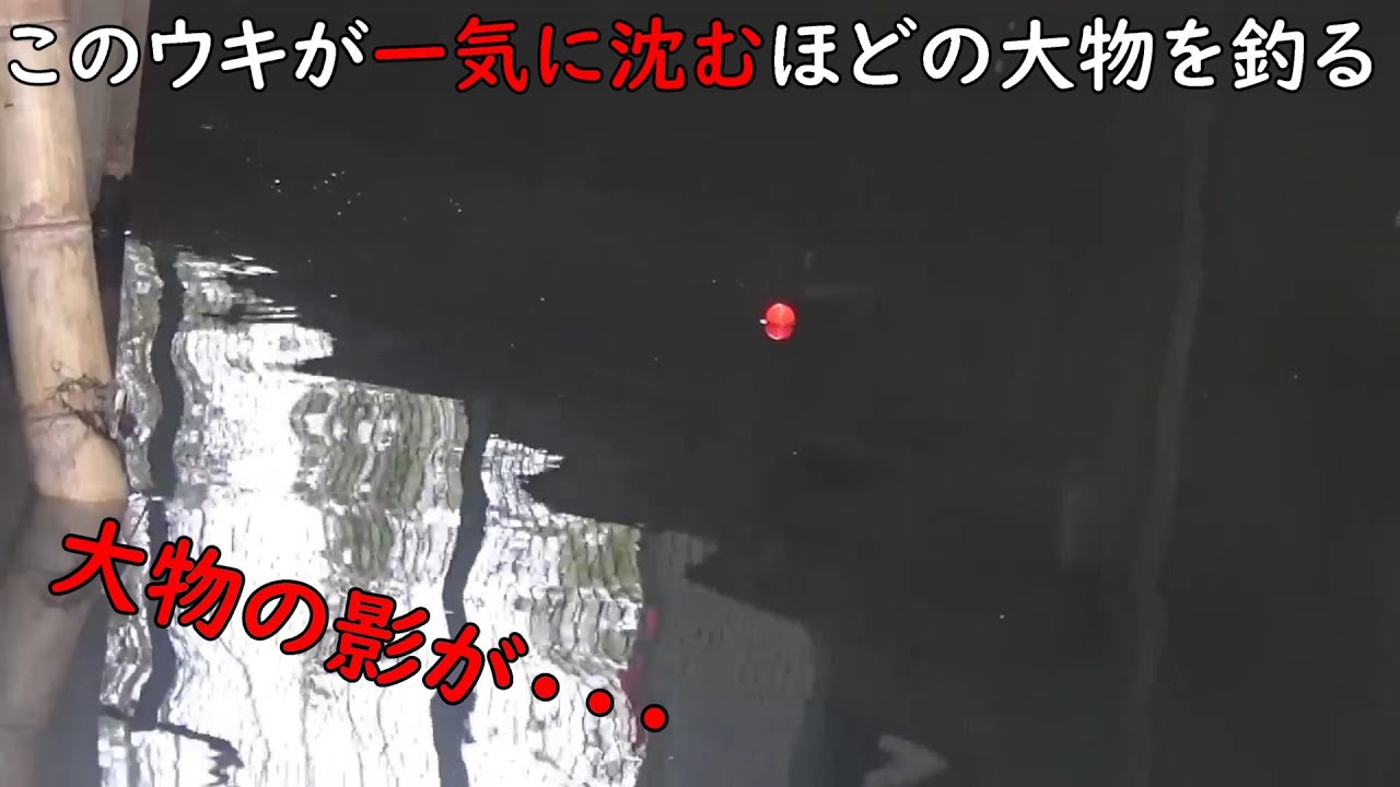 ウキが一気に沈むほどの大物が！！