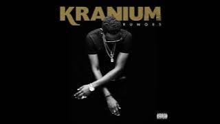 Kranium - Last Night with Lyrics