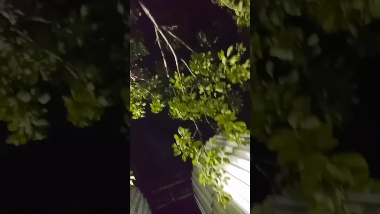 beer testing masin all in one 