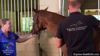 Equine Saddle Fit w Philip Guenther