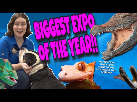 BIGGEST PET EXPO OF 2023! I Got a DREAM Reptile!!  #reptileexpo