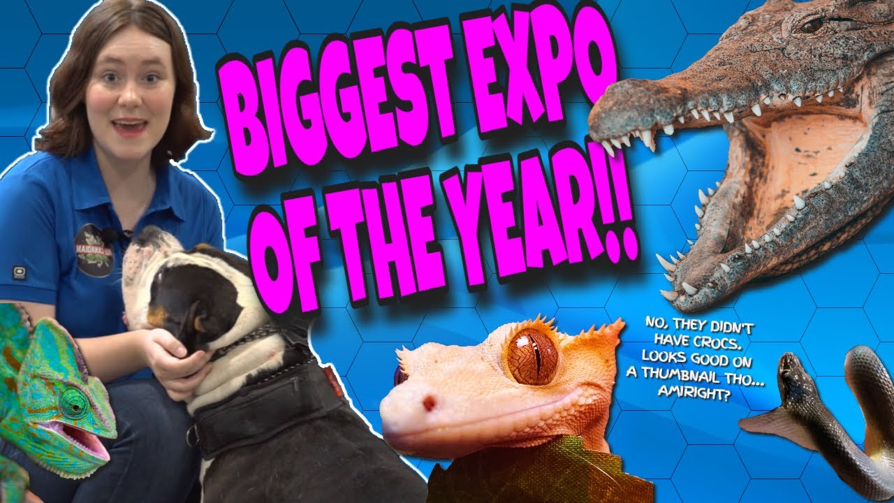 BIGGEST PET EXPO OF 2023! I Got a DREAM Reptile!! reptileexpo YouTube