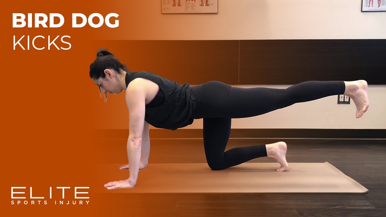 Bird Dog Kicks