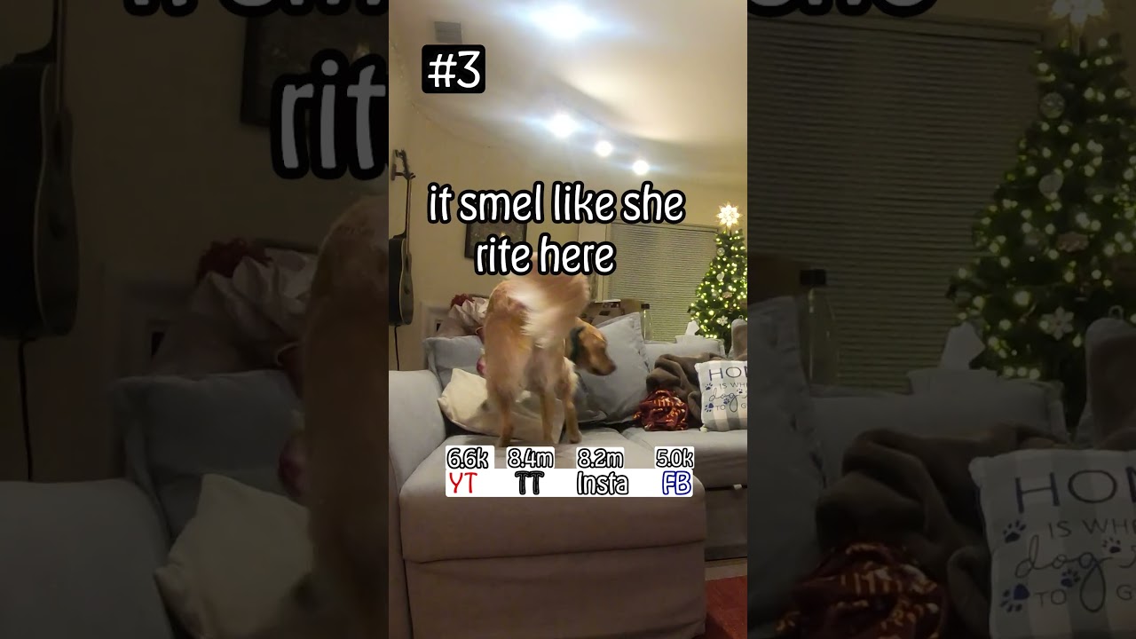 Comparing Our Top 5 Viral Video Views by Social Media Platform