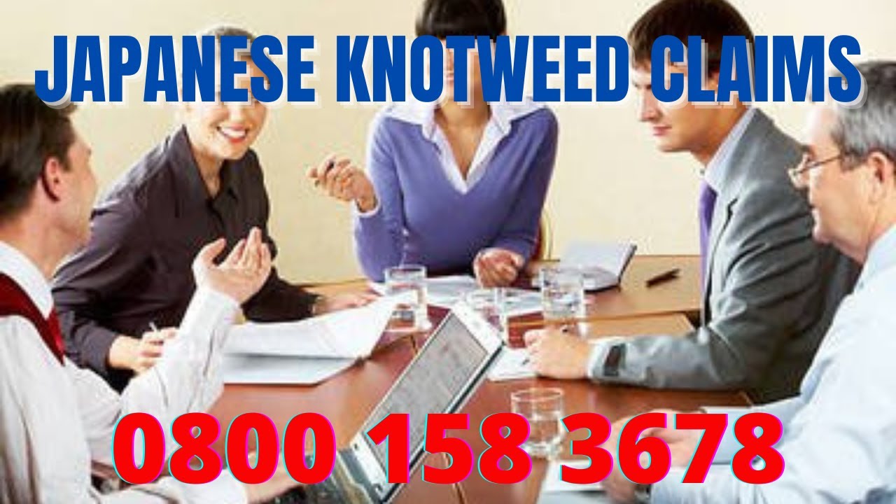 Japanese Knotweed Compensation Claims Solicitors Tottenham London | Japanese Knotweed Treatment