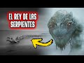 Basilisco, el rey de las serpientes | Viranimals