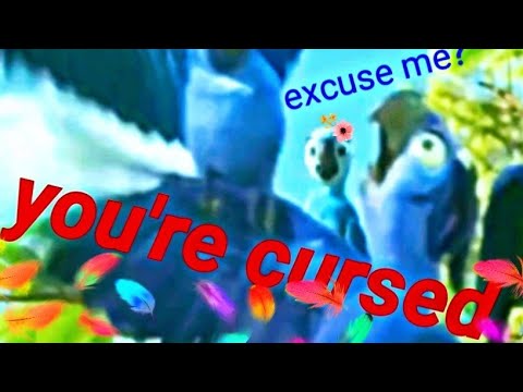 Rio - cursed images and reactions - YouTube