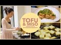 Asian Pan Fried Tofu recipe | with Miso Ginger sauce