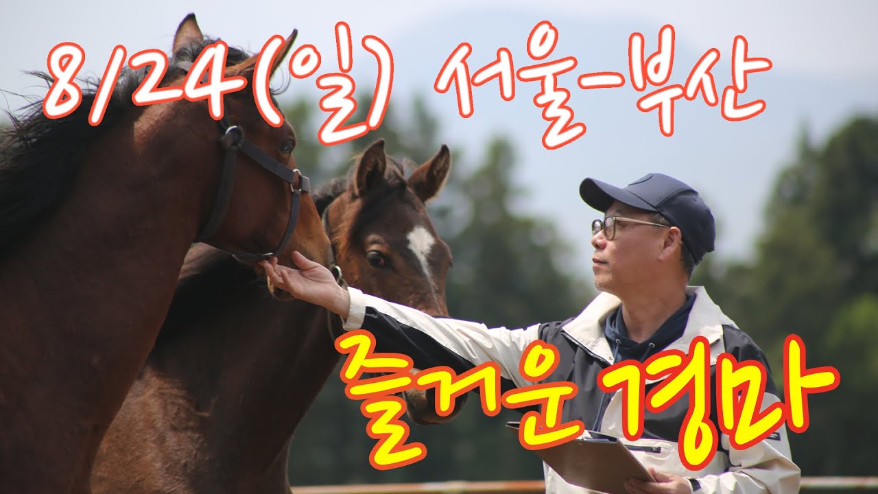 김호경마 8월 24일 일요일 서울-부산경마방송!