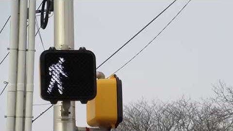 Leotex LED Countdown Walk Signal With New Camera