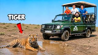 Meeting Real King of Jungle | Kabini Forest Safari | M4 Tech | Meeting Real King of Jungle | Kabini Forest Safari | M4 Tech |