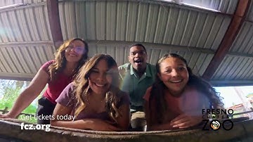 Fresno Chaffee Zoo - General