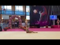 Dina Averina - Ball GP Marbella 2019 EF 21.45